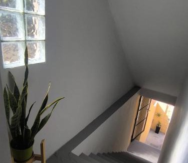 Tigre Apartment | Amplio loft acogedor, súper luminoso y seguro, en el corazón de Tigre