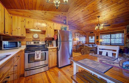 Ellijay Cabin | Amy's Blue Ridge Mtn & Starlight View