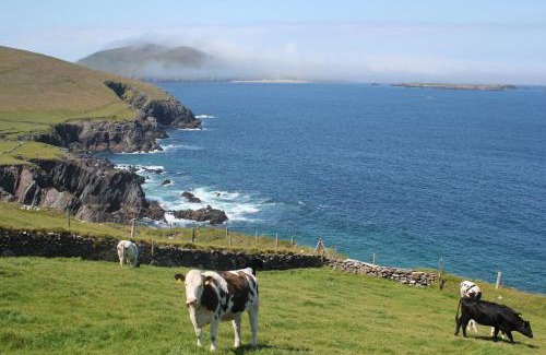 Dingle House | An Searrach Dingle by Trident Holiday Homes