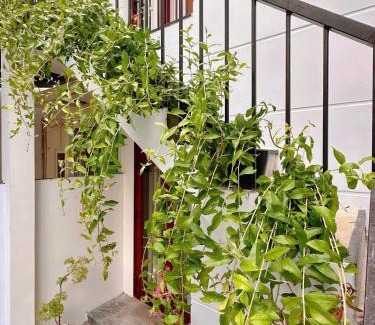 Son Tra Apartment | An Yen Home Da Nang