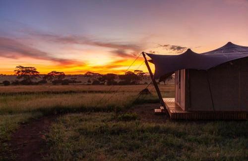 Seronera Other | Anantya Serengeti
