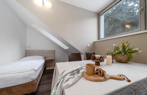 Harrachov Apartment | Anenský Apartmán C303 s wellness , O2 TV a stabilní rychlou WIFI, s možností dokoupení bufetových snídaní a s možností dokoupení masáží