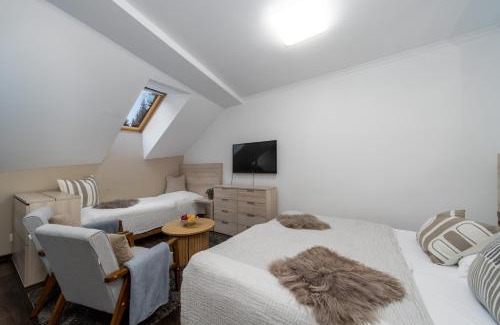 Harrachov Apartment | Anenský Apartmán C303 s wellness , O2 TV a stabilní rychlou WIFI, s možností dokoupení bufetových snídaní a s možností dokoupení masáží