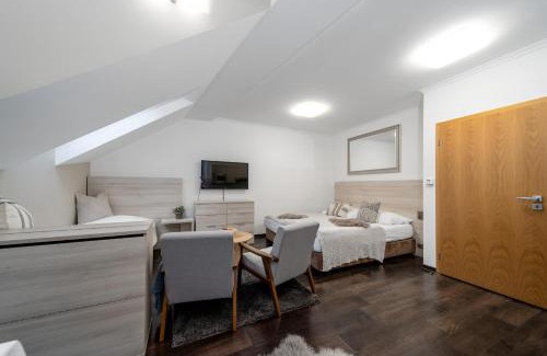 Harrachov Apartment | Anenský Apartmán C303 s wellness , O2 TV a stabilní rychlou WIFI, s možností dokoupení bufetových snídaní a s možností dokoupení masáží
