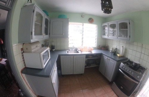 Ocho Rios Apartment | Angel Fish Beach Suites - Turtle Tower