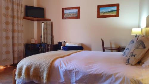 Somerset East House | Angler and Antelope Guesthouse