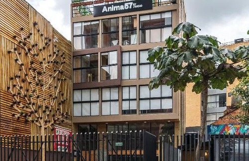 Chapinero Apartment | Anima 57