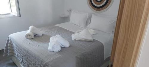 Agkisaras Apartment | Anissa House