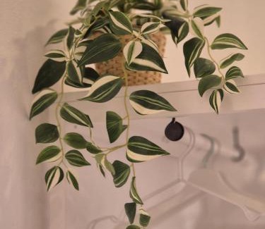 La Spezia House | Annita's Rooms