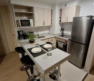 Chillan Apartment | APART CENTRO CHILLAN - Departamentos Diarios