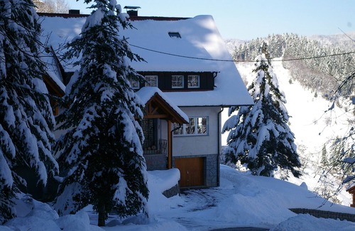 Ottenhofen im Schwarzwald Apartment | Apartment 'Anna' with Mountain View, Private Garden and Balcony