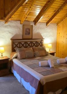 Lanin National Park Apartment | Apart Manantial del Valle