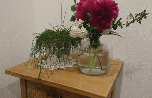 Haus Apartment | Apart Moosbrugger