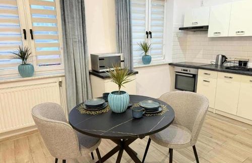 Zywiec Apartment | Apartament Bracka 23