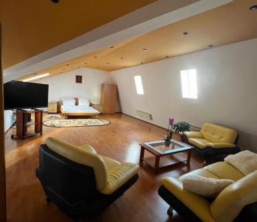 Timisoara Apartment | Apartament central Timisoara