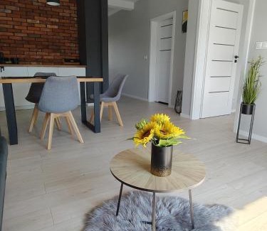 Wladyslawowo Apartment | Apartament Miodowy