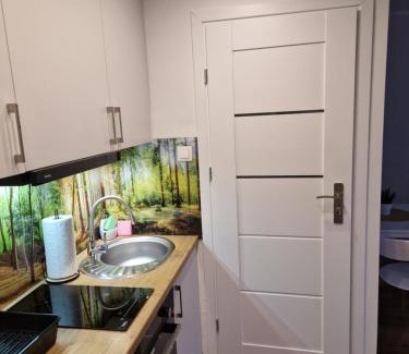 Elblag Apartment | Apartament przy Starym Mieście
