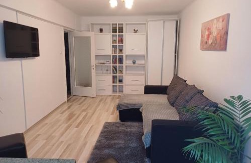 Centrul Vechi Apartment | Apartament Racadau