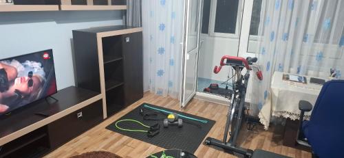 Ramnicu Valcea Apartment | apartament Ramnicu Valcea