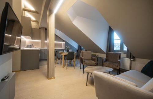 Business District Apartment | APARTAMENTAI LEMBERGAS