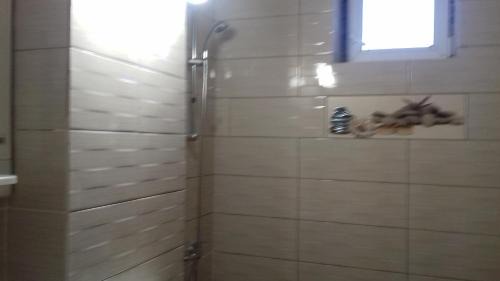 Baile Felix Apartment | Apartamente DELUXE George