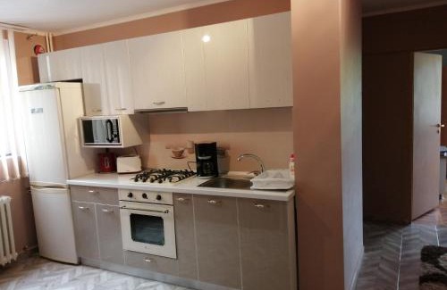 Baile Felix Apartment | Apartamente DELUXE George