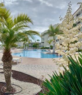 Palm-Mar Apartment | Apartamento Las Palmeritas Palm Mar Tenerife Sur