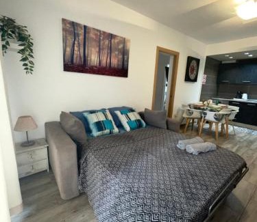 Los Cristianos Apartment | Apartamento Sofia Los Cristianos