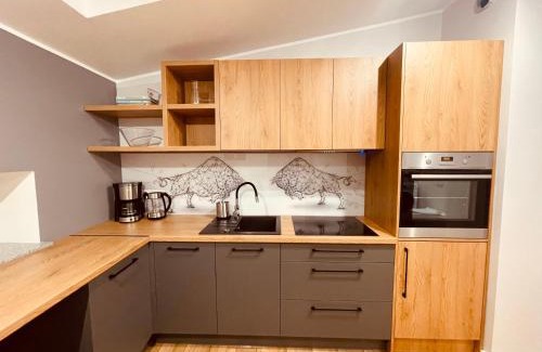 Katowice Apartment | Apartamenty KTW Kościuszki 41 - SKY & DESIGN