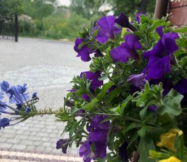 Sandomierz Apartment | Apartamenty sandomierskie GIMO