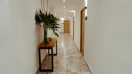 Cali Apartment | Apartasuites ISABEL