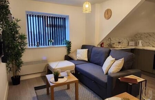 Grangetown Apartment | ApartHotel - Flat 7 (1 bed)