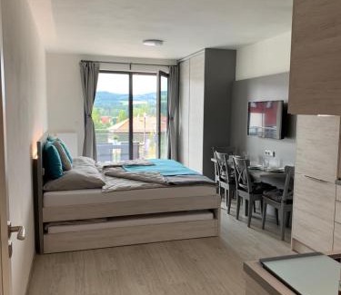 Lipno nad Vltavou Apartment | Apartmán Denisa