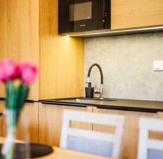 Dolni Morava Apartment | Apartmán Jako doma