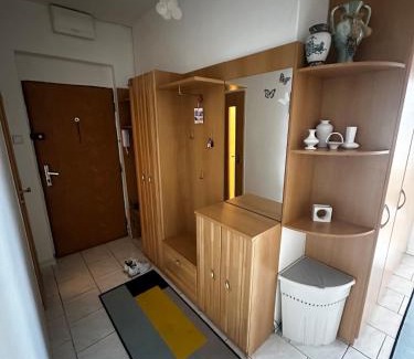 Liptovsky Mikulas Apartment | Apartmán Maňuš