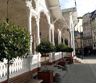 Karlovy Vary Apartment | Apartmán Orchidej u Vřídla