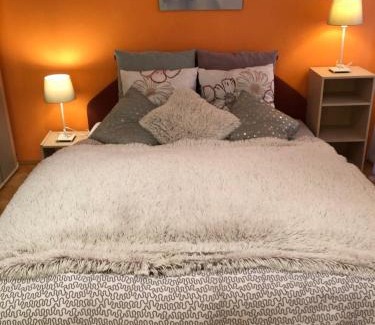 Karlovy Vary Apartment | Apartmán Orchidej u Vřídla