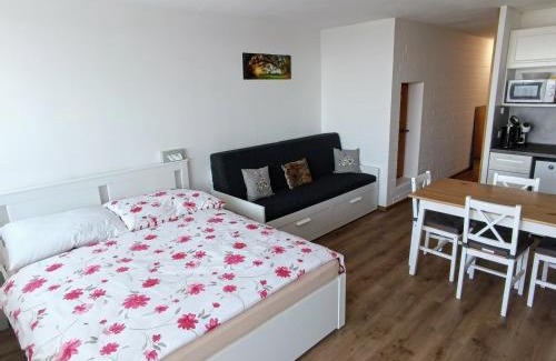 Sankt Englmar Apartment | Apartmán Petr Sankt Englmar, Bayerische Wald