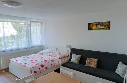 Sankt Englmar Apartment | Apartmán Petr Sankt Englmar, Bayerische Wald