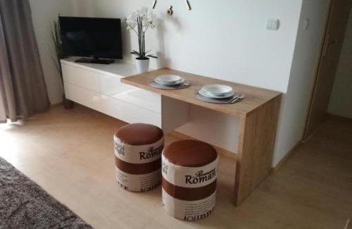 Liptovsky Mikulas Apartment | Apartmán POLUDNICA