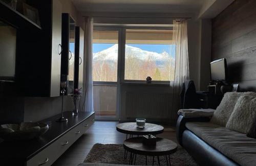 Velky Slavkov Apartment | Apartmán s nádherným výhľadom na Tatry
