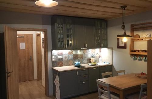 Dolni Morava Apartment | Apartmán u svahu Dolní Morava