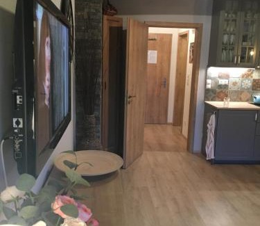 Dolni Morava Apartment | Apartmán u svahu Dolní Morava