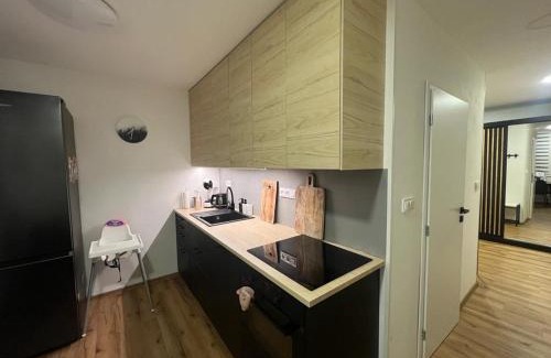 Jachymov Apartment | Apartmán Víšek