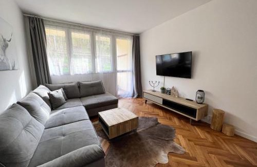 Jachymov Apartment | Apartmán Víšek