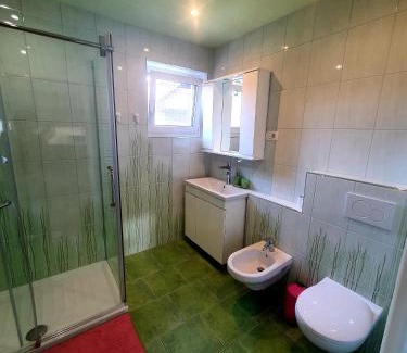 Gorje Apartment | Apartma DAVID