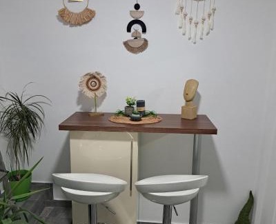 Zajecar Apartment | Apartman Arsić Zajecar