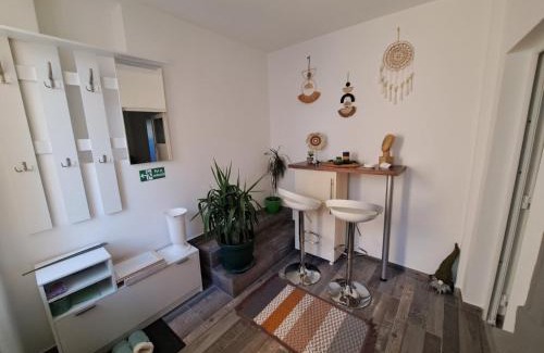 Zajecar Apartment | Apartman Arsić Zajecar