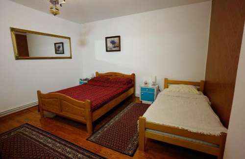 Zajecar Apartment | Apartman Carpe Diem