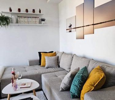 Stari Banovci Apartment | Apartman Gaga